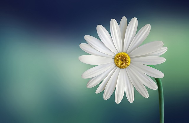 Marriage Counselling Cape Town